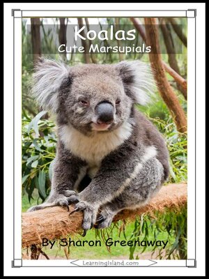 cover image of Koalas